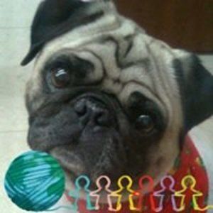 Meet your Posher, Edna